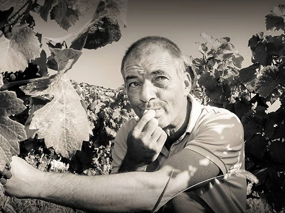 克里斯托夫·肖维尔