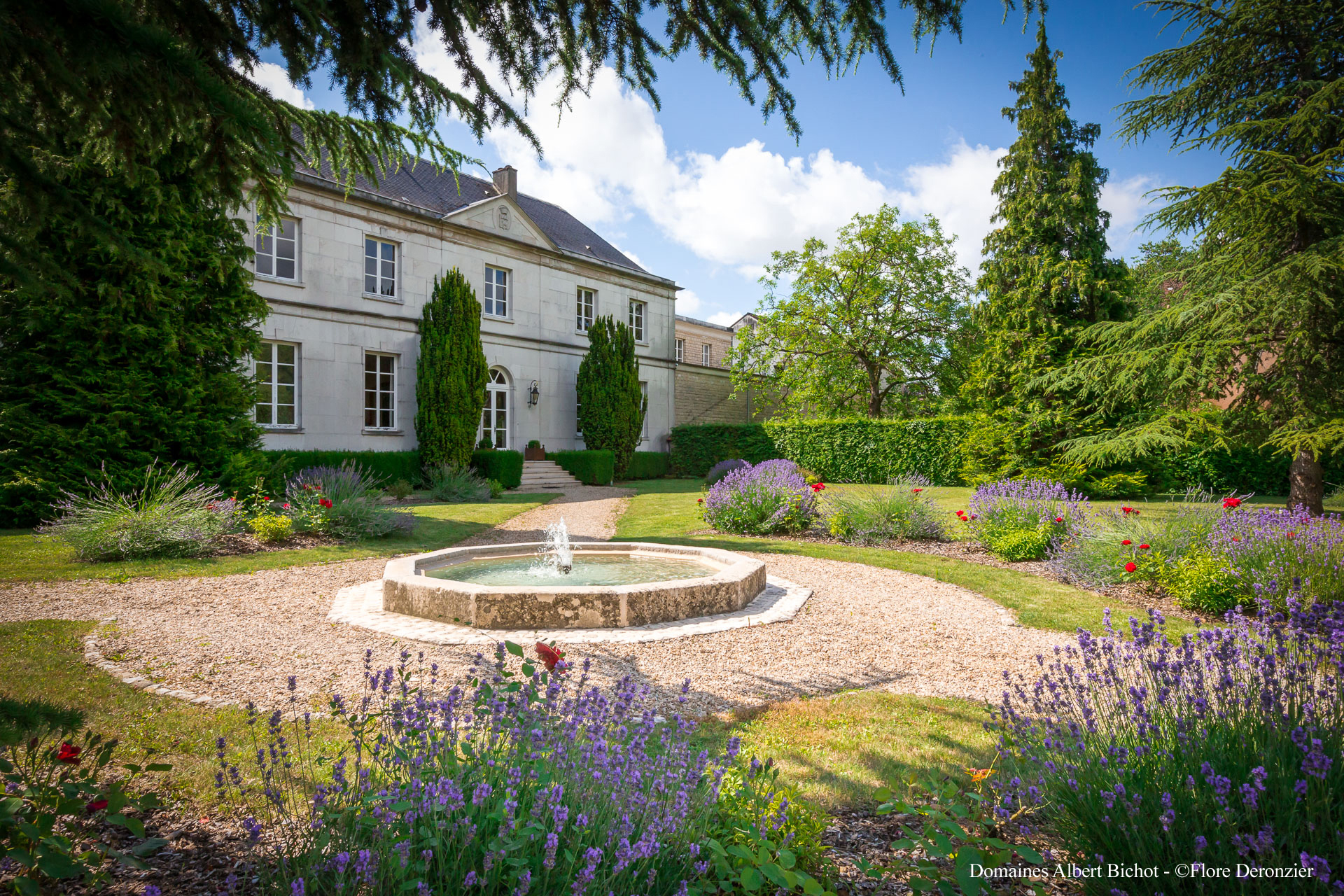 “今生不能错过的百款葡萄酒之一”，这款特级园葡萄酒有何特别之处？